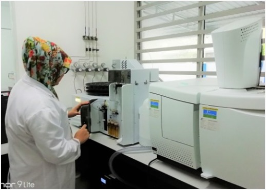 Gas Chromatography with Mass Selective Detector, Flame Ionisation Detector and Electron Capture Detector (GC-MS/FID/ECD)